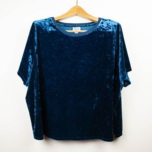 Vintage Velvet Blue Top